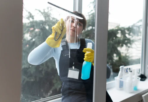 Nettoyage de vitres intérieures et extérieures à Saint-Aubin-sur-Scie